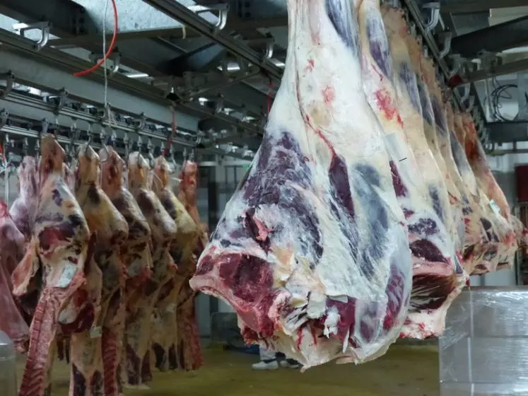 Viande britannique