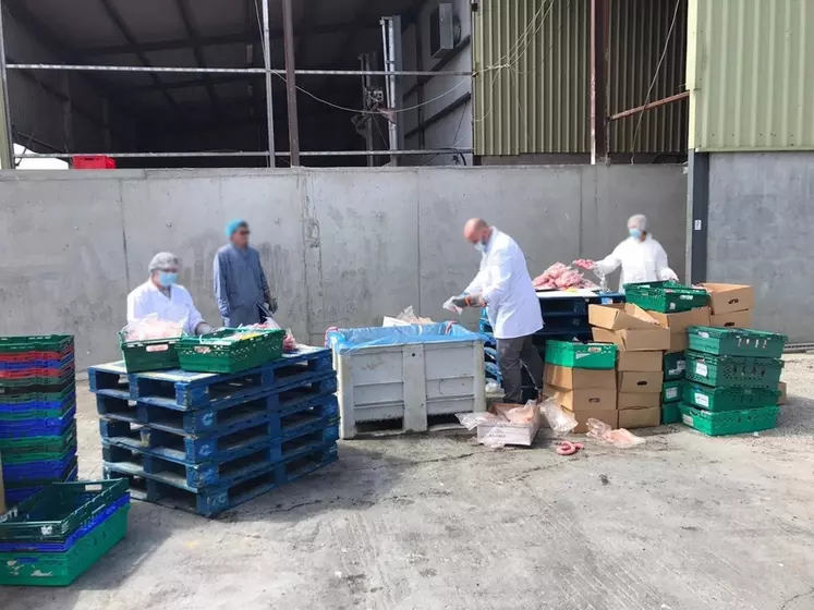 Des animaux vivants et plus de 17 tonnes de viande ont été saisis dans plusieurs abattoirs en Belgique, en Irlande, en Italie, en Espagne et aux Pays-Bas. © Interpol