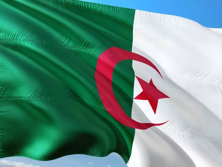 Baisse des achats algériens de produits laitiers