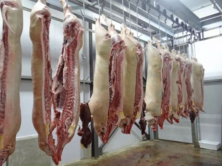 Depuis longtemps, les industriels de la viande déplorent le dumping social dont ils s'estiment victimes.  © DR