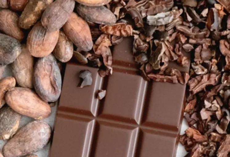 La transformation de cacao recule dans les pays consommateurs.