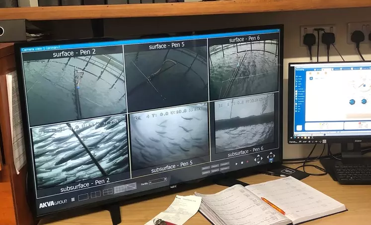 Caméra de surveillance des saumons dans différents bassins aquacole