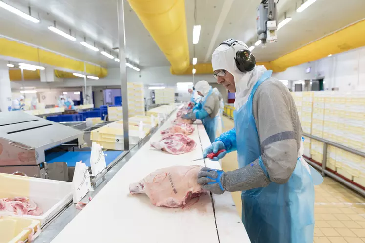 L'activité charcuterie-salaison du groupe représenterait un volume de 120 000 tonnes. 