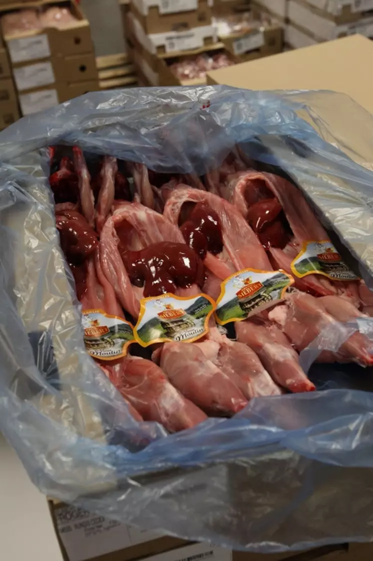 Vente en gros de viande de lapin origine France au pavillon de la viande du march