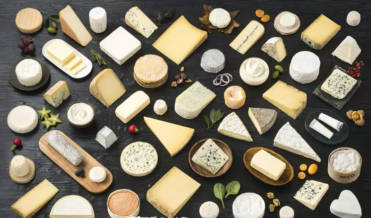 fromages sous AOP en France