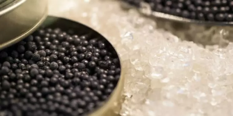 La France est le premier consommateur européen de caviar
