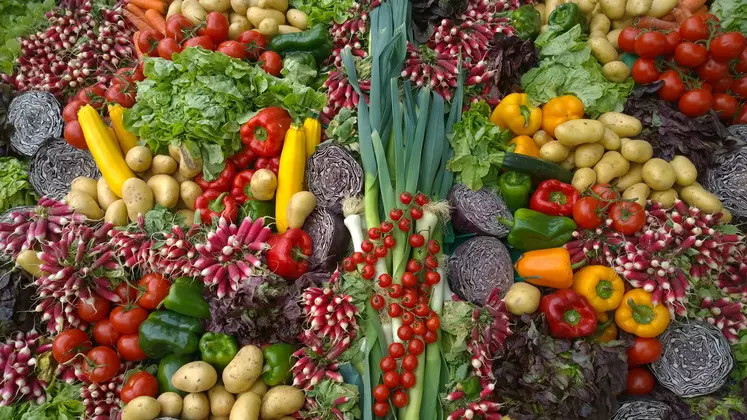 La tomate est le légume le plus acheté par les ménages français.