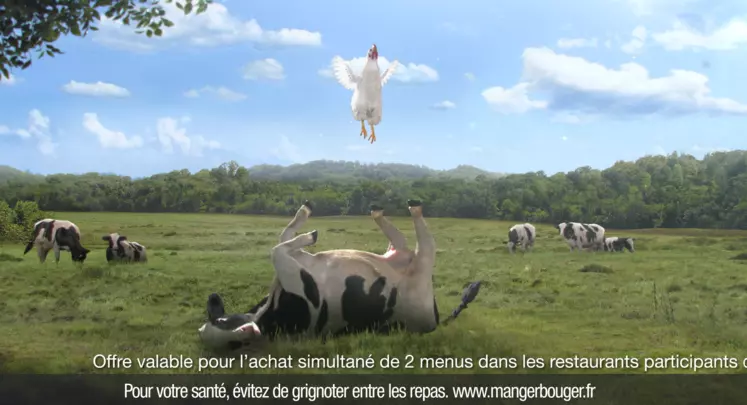  poulet bondissant en plein champ avec des vaches