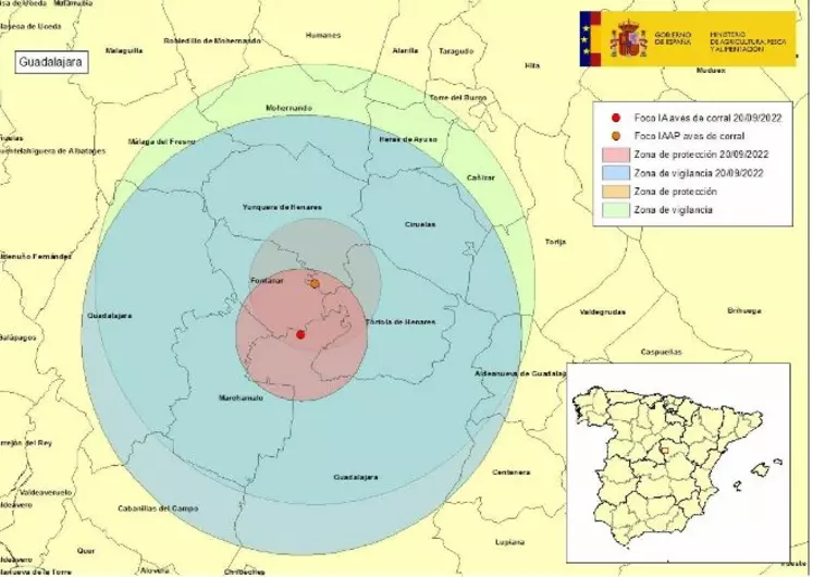 Localisation du cas de grippe aviaire, à Guadalajara