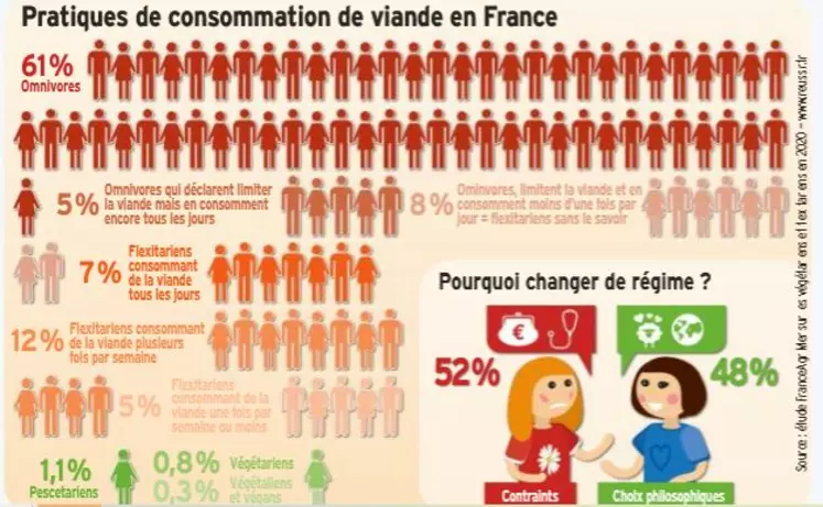 Presse Agrumes De Carottes - Retours Gratuits Dans Les 90 Jours - Temu  France