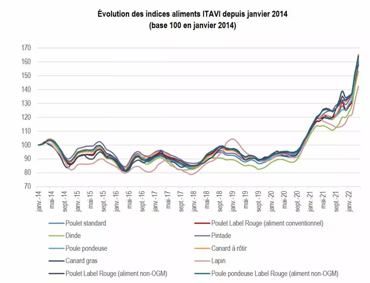 Pour chaque espèce de volaille, les coûts alimentaires battent des records tous les mois selon les indices Itavi