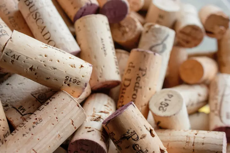 La production française de vin atteindra un niveau historiquement bas cette année.