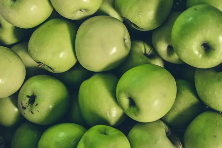 Davantage de pommes sont orientées vers l'industrie de la transformation
