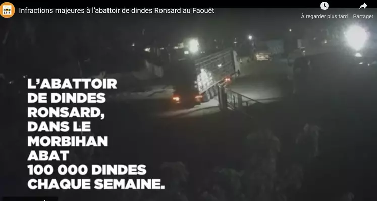 L214 diffuse une vidéo dans laquelle le transport des dindes ne semble pas conforme à la réglementation.