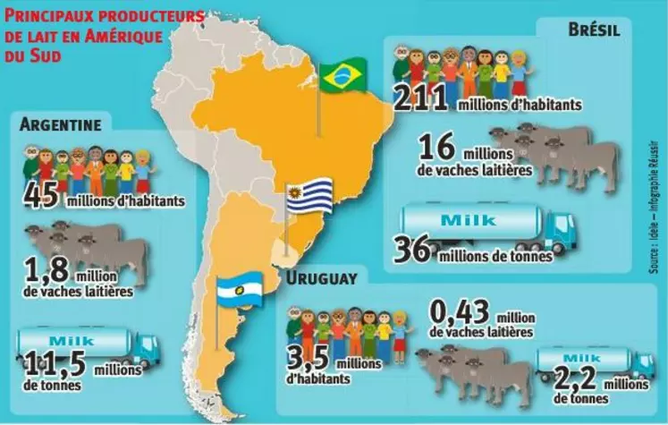 Infographie Les Marchés sur les principaux producteurs de lait en Amérique du Sud