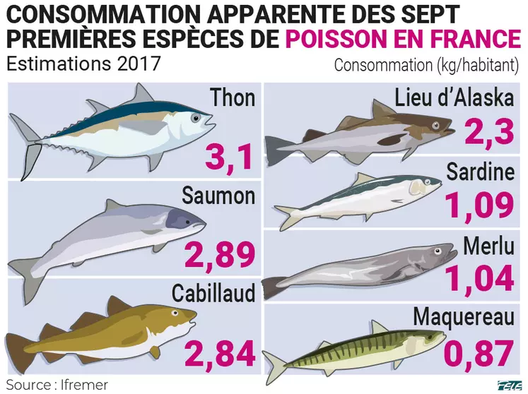 Nourriture pour poissons XXL - Comparaison de différents types de