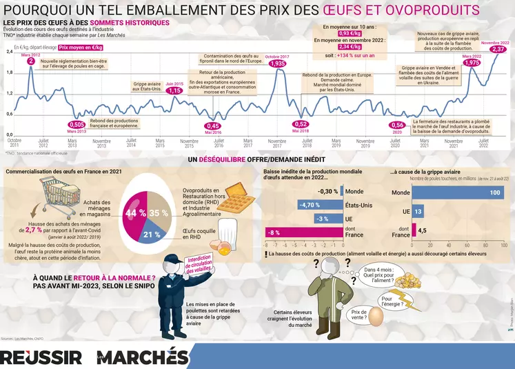 Infographie sur les prix des oeufs parue dans le mensuel Les Marchés Mag de décembre