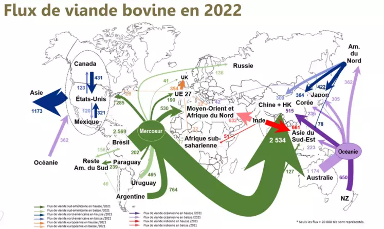 Flux de viande bovine en 2022