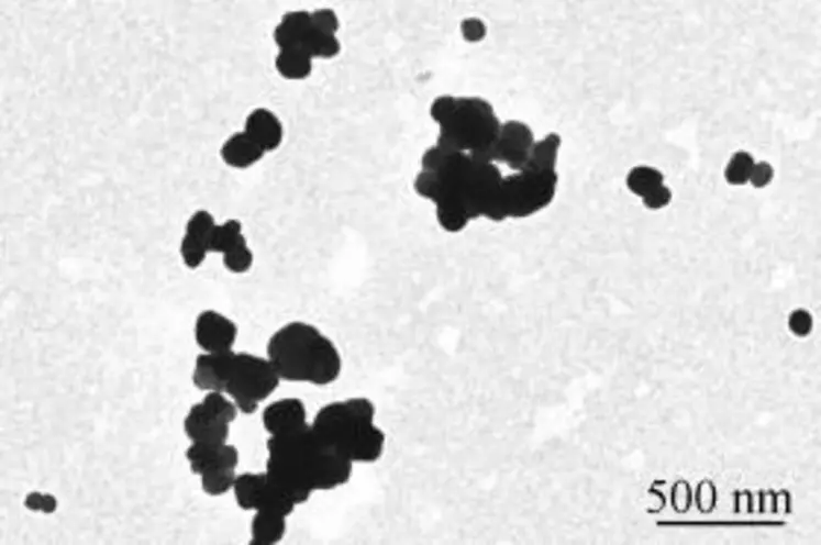 Nanoparticules de dioxyde de titane Inra Toxalim