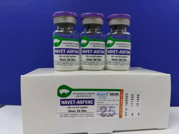 Vaccin contre la PPA Navet Asfac