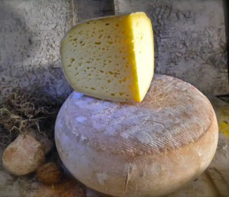 fromage fermier