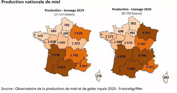 La production du miel blanc d'Oku baisse de 55% en 2020