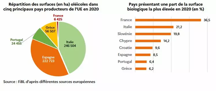 Les 6 Chiffres Clés Sur Le Marché De L’huile D’olive Bio | Les Marchés ...