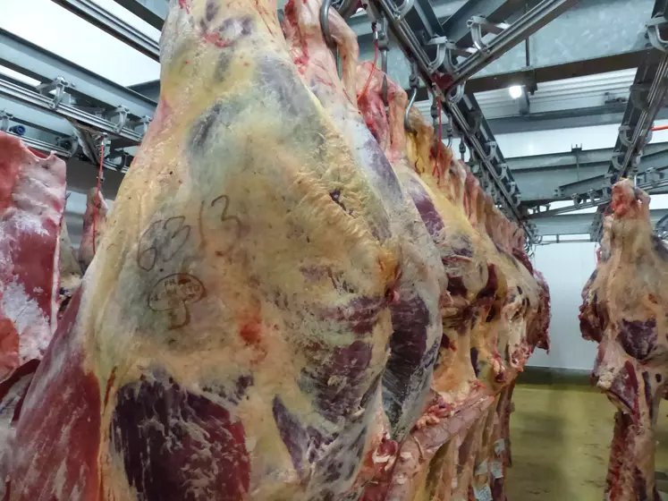 Viande bovine : 7 chiffres à retenir de l'année 2022