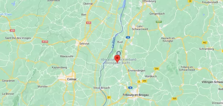 Le cas allemand de peste porcine est proche de Colmar