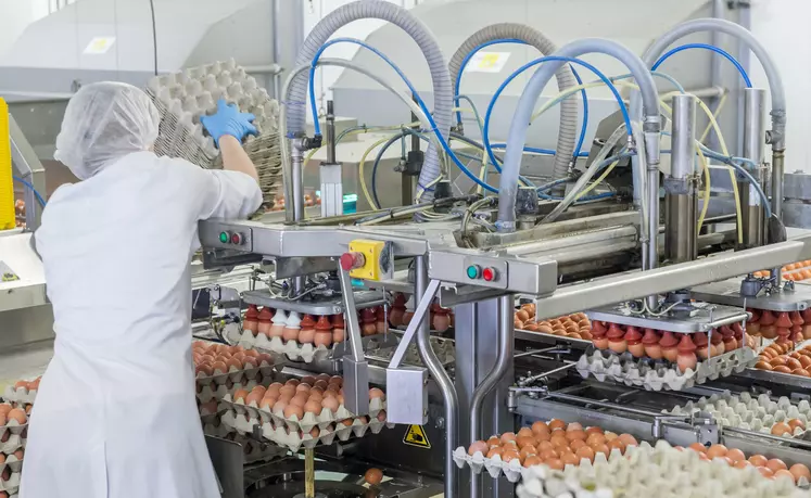 Les industriels de l'oeufs assurent de la totale mobilisation de leurs entreprises  pour maintenir au mieux la production et les approvisionnements en œufs de leurs clients