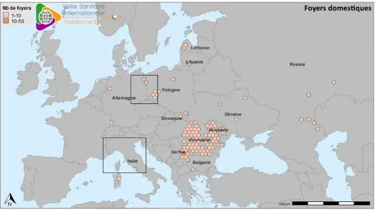 Répartition des foyers domestiques de la PPA en Europe