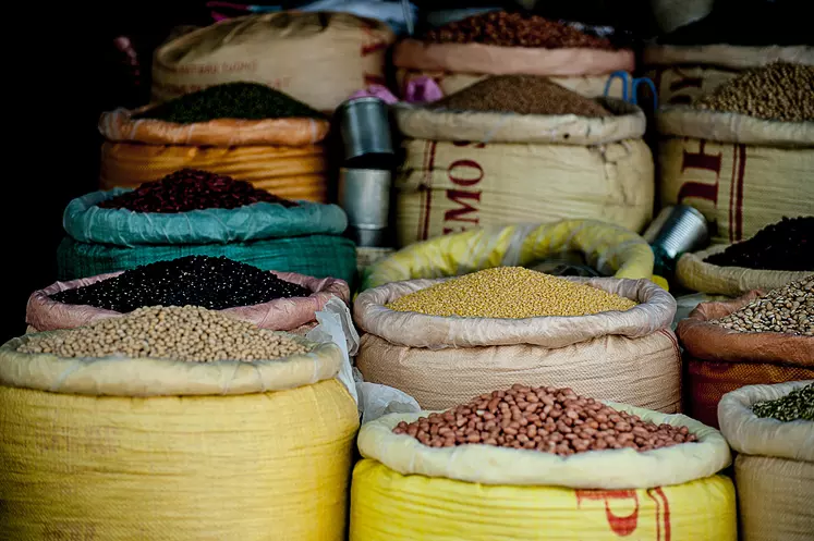 En août, les prix alimentaires mondiaux ont reculé selon la FAO