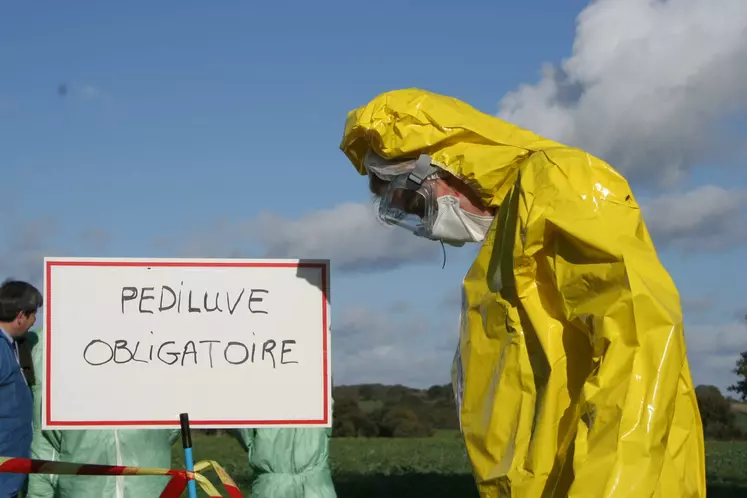 exercice simulation Influenza aviaire. pathologie en élevage de volaille. 