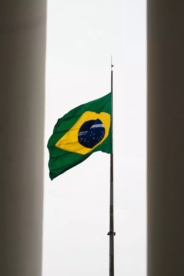 En porc, le Brésil fait de l’ombre à la France et l’Espagne