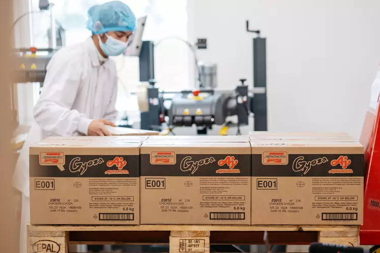 Les produits Ajinomoto se dirigent en sortie d'usine vers la restauration ou vers la GMS.