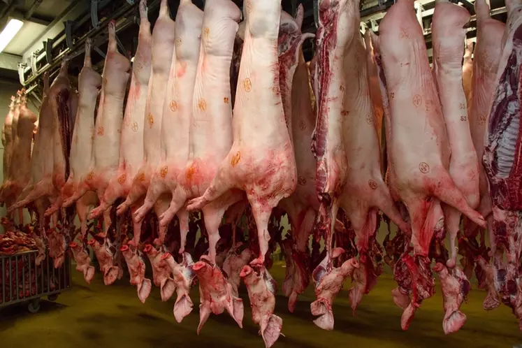 Sobevir, abattoir et atelier de découpe dans les Ardennes. Production de viande porcine et autre. carcasse de porc française. carcasses de porcs. approvisionnement ...