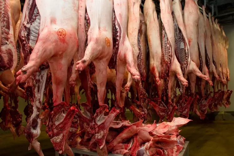 Sobevir, abattoir et atelier de découpe dans les Ardennes. Production de viande porcine et autre. carcasse de porc française. carcasses de porcs. approvisionnement ...