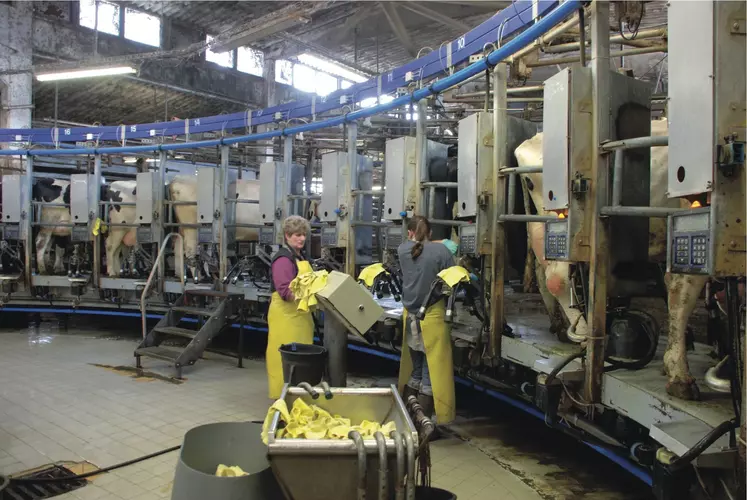 Salle de traite à la coopérative 