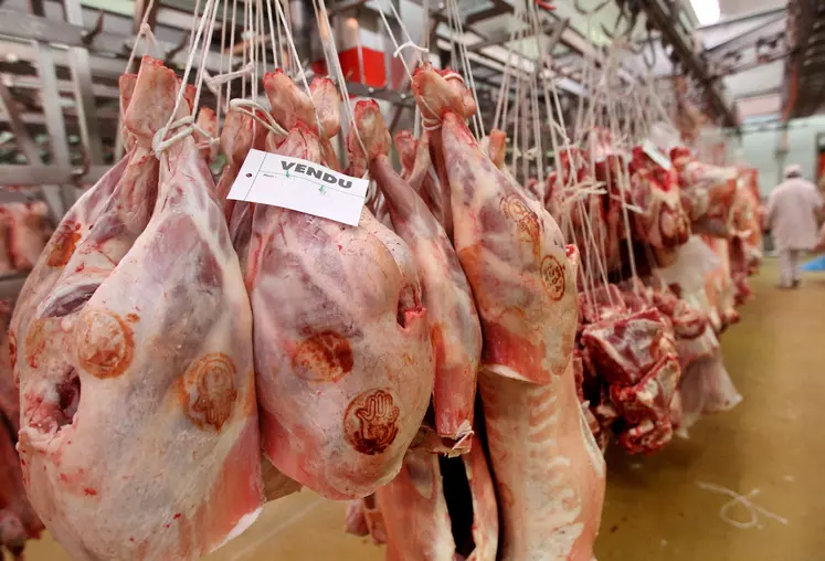 commercialisation de carcasses d'agneau Halal 