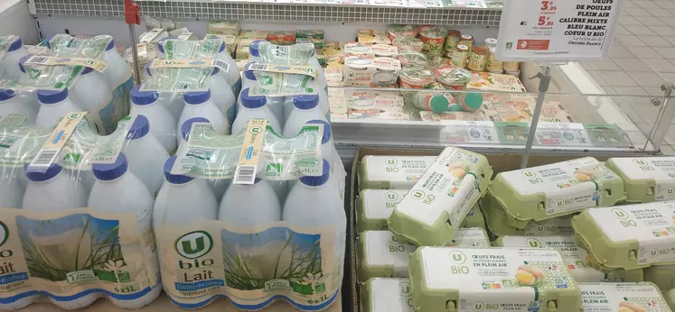 rayon lait et oeufs bio en magasin