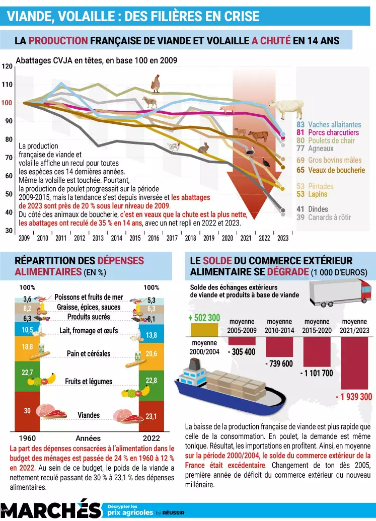 Infographie Les Marchés Viande et Volaille en crise