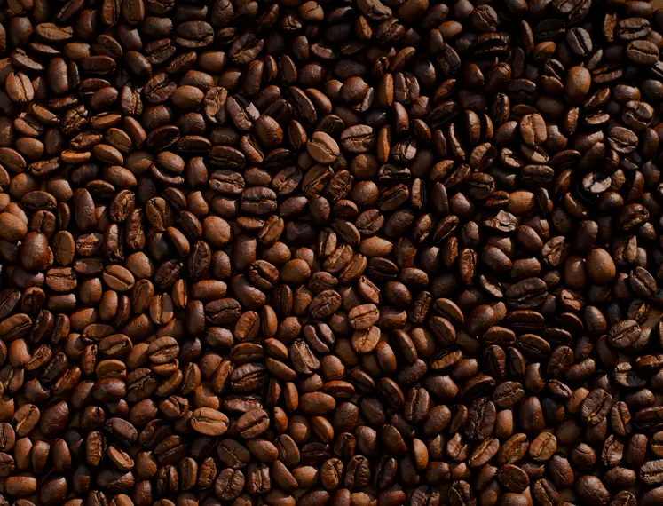 grains de café