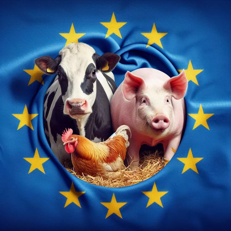 un porc, une vache et un poulet dans le drapeau européen