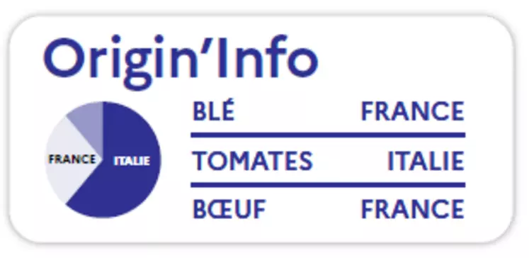 Projet de logo Origin'Info avec un diagramme