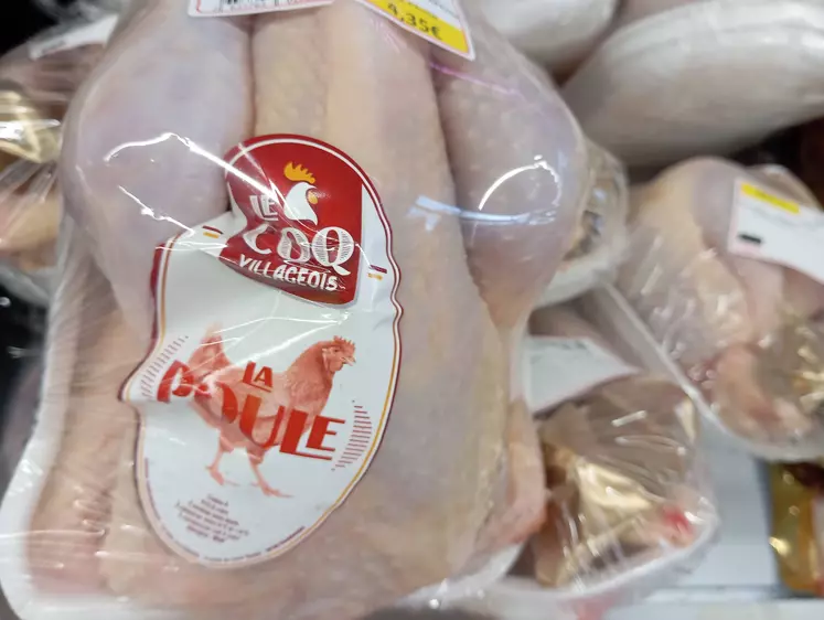 poule au rayon volaille en supermarché