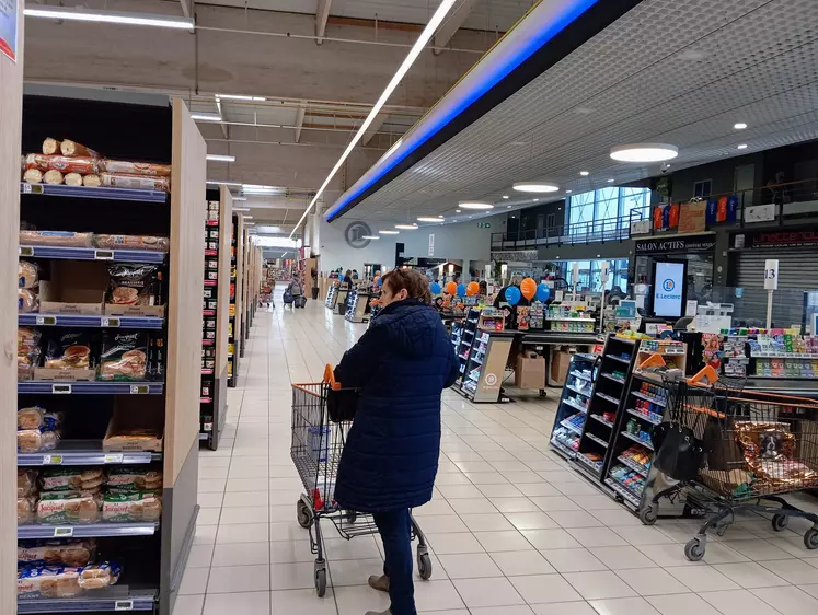 femme qui fait des courses avec un chariot au supermarché