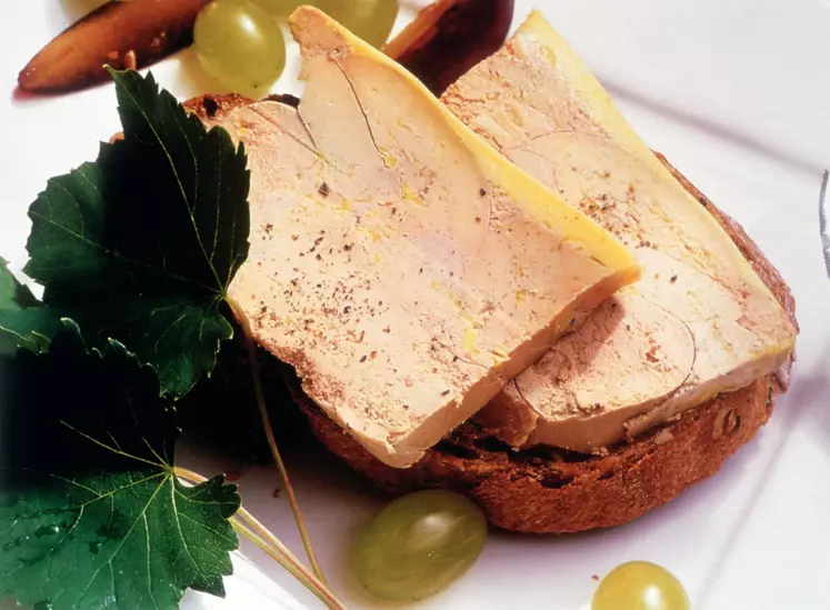 Vigneronne de foie gras et grains de raisin. Gastronomie française. 