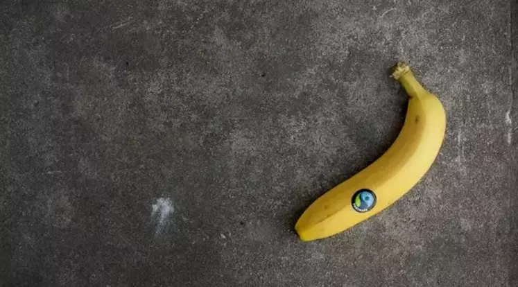 banane équitable 