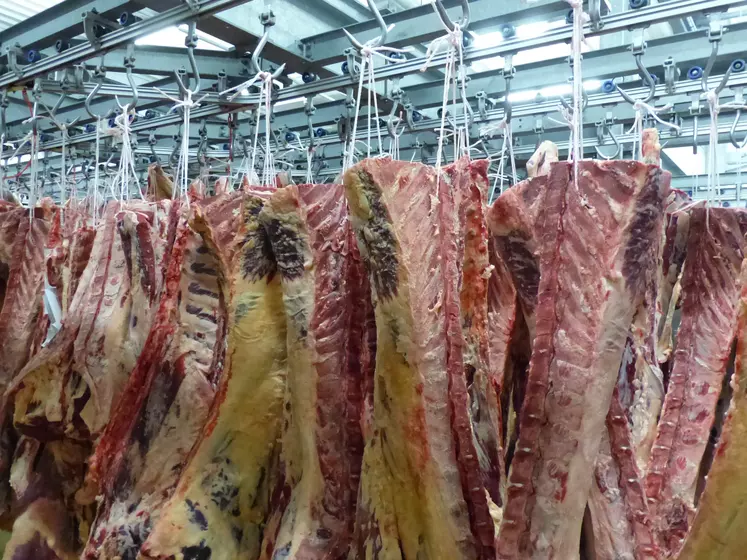 Quartiers de viande à l'abattoir