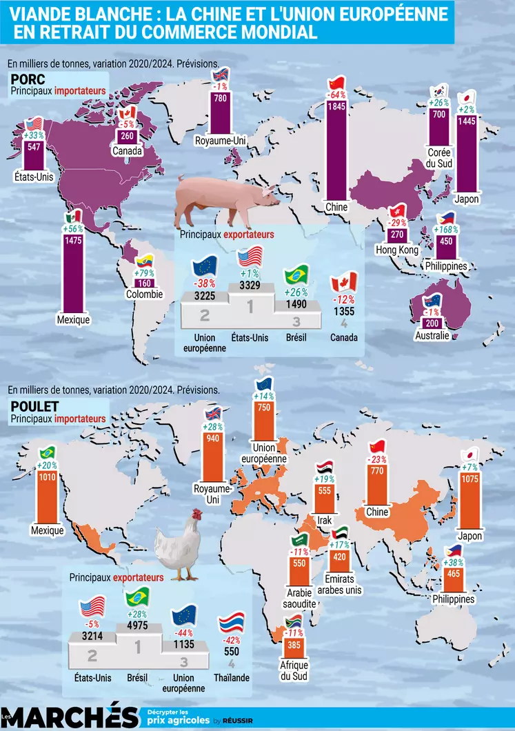 Infographie Les Marchés juillet 2024 sur la perte de poids de l'UE et la Chine dans le commerce mondial du porc et de la volaille